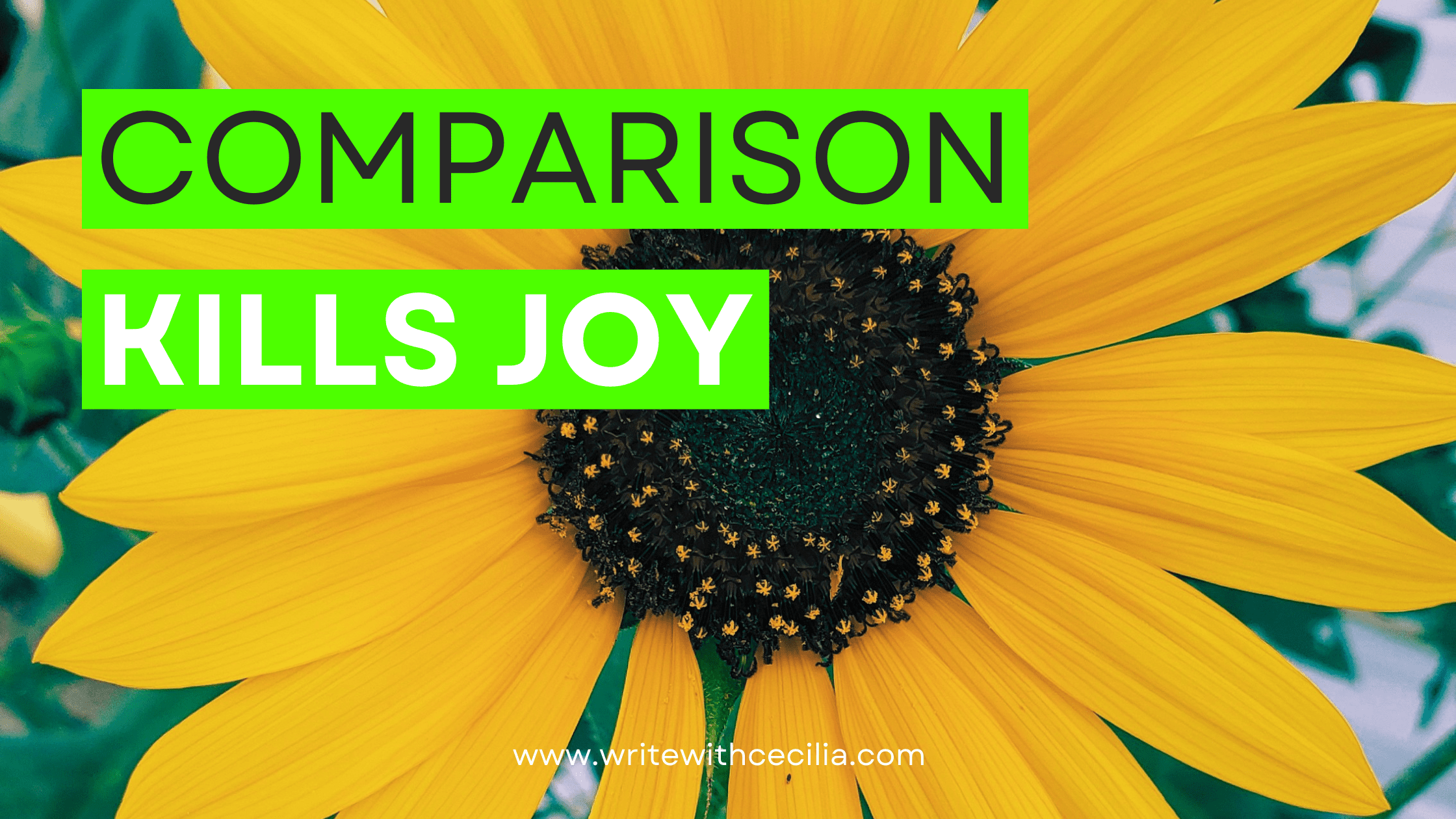 Comparison kills joy
